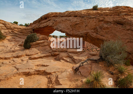 Mesa Arch, Canyonlands NP, Utah, USA Stockfoto