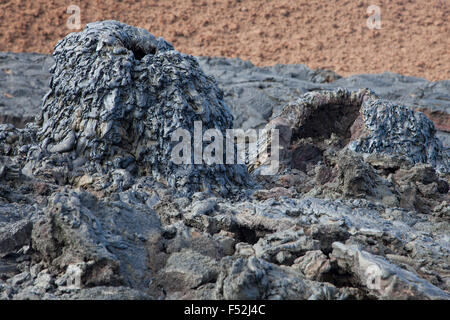 Vulkanische Hornitos, kleine Kegel glasiger Lava, die durch eine Gas- oder Wassertasche auf der Oberfläche eines Pahoehoe-Lavastroms auf den Galapagos-Inseln gebildet werden Stockfoto