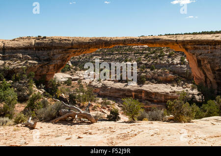 Owachomo Brücke, Natural Bridges National Monument, Utah, USA Stockfoto