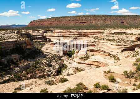 Sipapu Brücke, Natural Bridges National Monument, Utah, USA Stockfoto