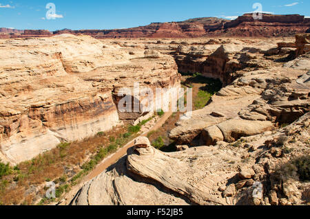 Dirty Devil River, Glen Canyon Recreation Area, Utah, USA Stockfoto