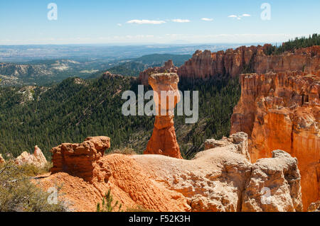 Hoodoo am Agua Canyon, Bryce Canyon, Utah, USA Stockfoto