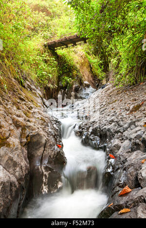 Ein schmaler Bach fließt schnell durch eine felsige Schlucht und erzeugt aufgrund einer langen Exposition einen glatten, weißen Wassereffekt. Der Fluss wird von dunklen, nassen Felsen und moosbedeckten Steinmauern flankiert, mit Stockfoto