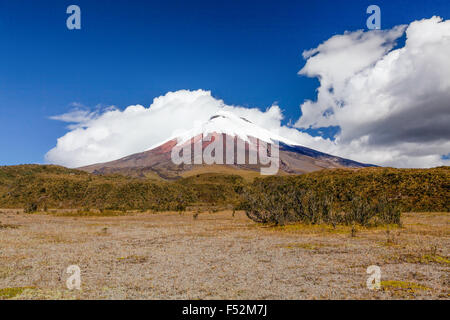 Cotopaxi ist ein Vulkan in den Anden in der Nähe von Quito Ecuador Es ist die 2.Höchste Gipfel im Land Stockfoto