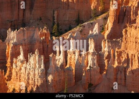 Blick vom Sunrise Point, Bryce Canyon, Utah, USA Stockfoto