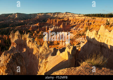 Blick vom Sunrise Point, Bryce Canyon, Utah, USA Stockfoto