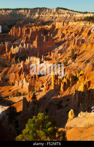 Blick vom Sunrise Point, Bryce Canyon, Utah, USA Stockfoto