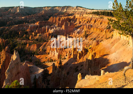 Blick vom Sunrise Point, Bryce Canyon, Utah, USA Stockfoto