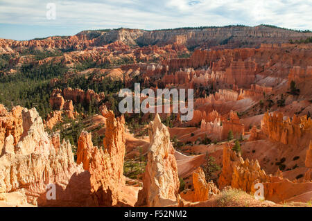 Blick vom in der Nähe von Sunrise Point, Bryce Canyon, Utah, USA Stockfoto