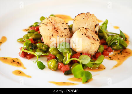 Gebratene Jakobsmuscheln mit Saubohnen & Chorizo schwenken Stockfoto