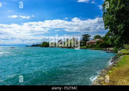 Sommer am wunderschönen Genfersee. Genfer See, Schweiz. Stockfoto