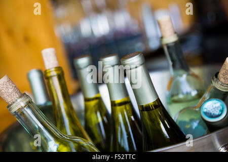 Hochzeitsfeier getränke Weißwein in Flaschen kühlen für die Gäste. Stockfoto