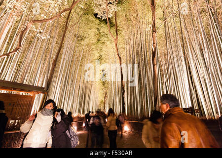 Japan, Kyoto, arashiyama. Hanatouro Festival. Berühmte Bamboo Grove von Laternen mit Bambus sehr hohen Overhead und Menschen zu Fuß durch beleuchtet. Stockfoto