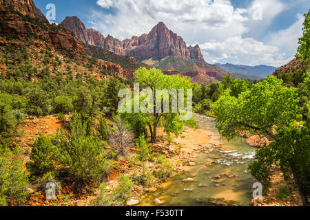 Der Wächter und der Virgin River Valley in Zion Nationalpark, Utah, USA. Stockfoto