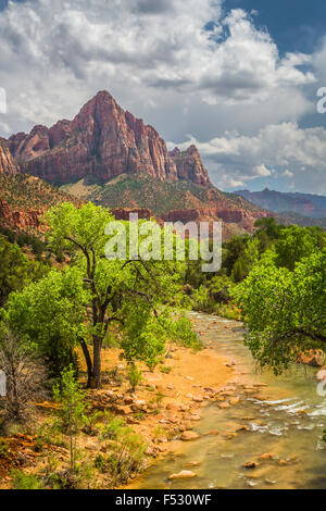 Der Wächter und der Virgin River Valley in Zion Nationalpark, Utah, USA. Stockfoto