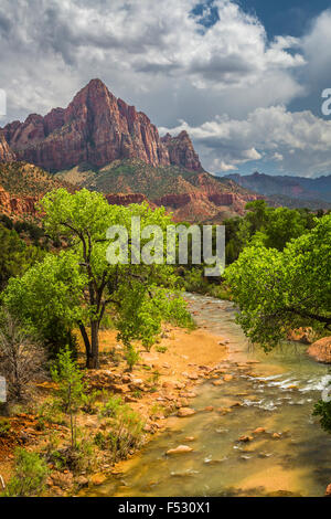 Der Wächter und der Virgin River Valley in Zion Nationalpark, Utah, USA. Stockfoto