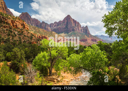 Der Wächter und der Virgin River Valley in Zion Nationalpark, Utah, USA. Stockfoto