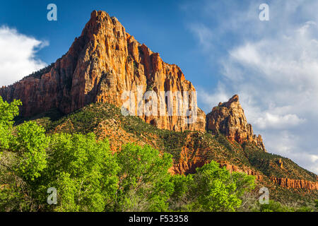 Der Wächter Berg Zion Nationalpark, Utah, USA. Stockfoto