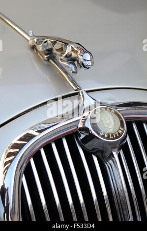 Jaguar Oldtimer Kühlerfigur. Stockfoto