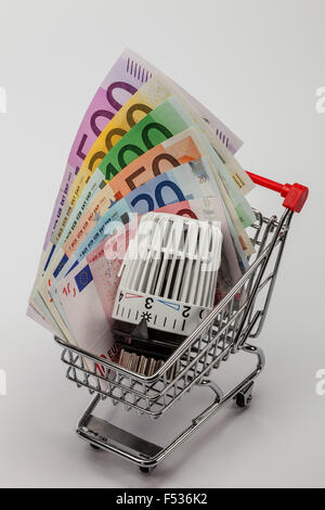 Shopping Trolley, Euro-Banknoten, Heizungsthermostat, symbolisches Bild, Energiekosten, Einkauf, Stockfoto