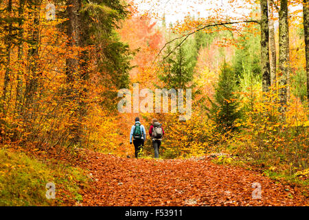 zwei Mädchen, die zu Fuß in den Wald in den italienischen Alpen Stockfoto