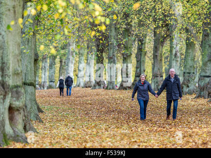 Paare, die ein Herbstmorgen Spaziergang hinunter die Lime Tree Avenue Clumber Park. National Trust landen. Worksop, Nottinghamshire Stockfoto