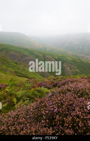 Am frühen Morgennebel deckt die Long Mynd, in der Nähe von Kirche Stretton, in den Hügeln von Shropshire, England. Stockfoto
