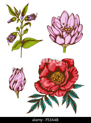 Satz von handgezeichneten Vintage Blumen Stockfoto