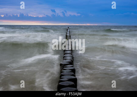 Buhnen kleben aus der Ostsee in der Nähe von Seebad Koelpinsee (Mecklenburg-Vorpommern) auf der Insel Usedom, Deutschland, 19. Oktober 2015. Foto: Patrick Pleul - kein Draht-Dienst- Stockfoto
