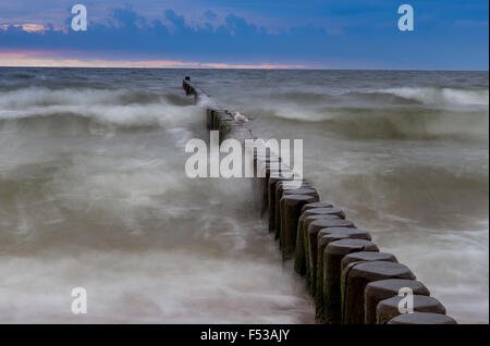 Buhnen kleben aus der Ostsee in der Nähe von Seebad Koelpinsee (Mecklenburg-Vorpommern) auf der Insel Usedom, Deutschland, 19. Oktober 2015. Foto: Patrick Pleul - kein Draht-Dienst- Stockfoto