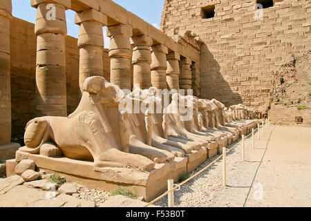 Ruinen von Karnak-Tempel in Ägypten. Allee der Widderköpfige Sphingen. Stockfoto