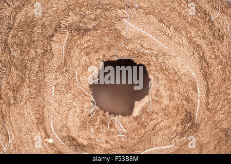 Roll-Material Stoff, hellbraune Farbe, Nahaufnahme Bild Stockfoto
