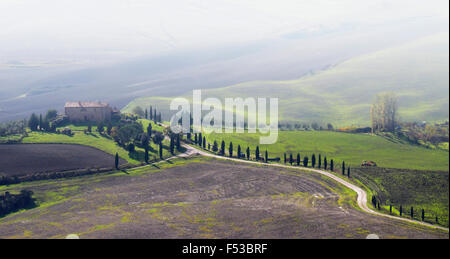 Europa, Italien, Toskana. Kurvenreiche Straße führt zu einer Villa in der Nähe der Hilltown von Pienza. Stockfoto