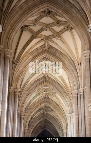 Gewölbedecken im Seitenschiff der Kathedrale von Winchester, Hampshire, England Stockfoto
