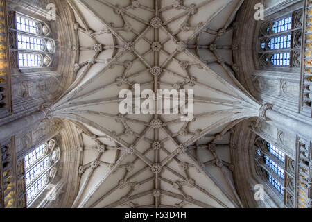 Gewölbte Decke des Kirchenschiffes Winchester Cathedral, Hampshire, England Stockfoto