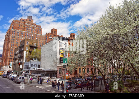 NEW YORK, USA - 24. April 2015: Schnittpunkt der 10th Avenue und 22nd Street in Chelsea in der Nähe von Clement Clarke Moore Park mit blühenden Baum und Fußgänger auf den Zebrastreifen zu Fuß Stockfoto