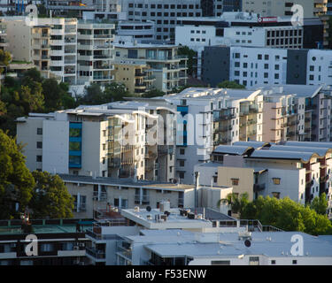 Blick auf Hochhauswohnungen und ein bebautes Gebiet in der Nähe von West Perth, Westaustralien, vom Kings Park am frühen Morgen Stockfoto