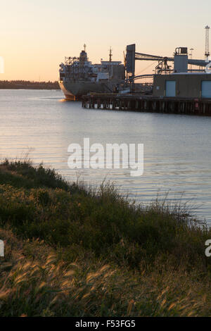 Bulk Schiff im Hafen von Sacramento in der Dämmerung angedockt Stockfoto