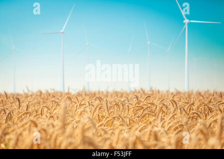 3D, CGI, [M], Symbol, Windenergie, Landwirtschaft, Getreide-Feld, Strom, Energie, Stockfoto