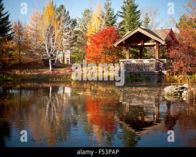 The covered pavilion and koi pond at Garden Park (Boffins Public House), Innovation Place in Saskatoon, Saskatchewan, Canada. Stockfoto
