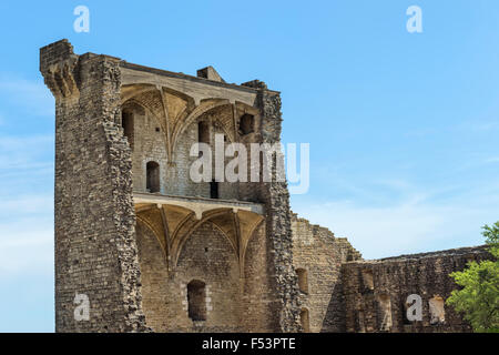 Chateuneuf du Pape, Burg, Vaucluse, Provence Alpes Cote d ' Azur Region, Frankreich Stockfoto