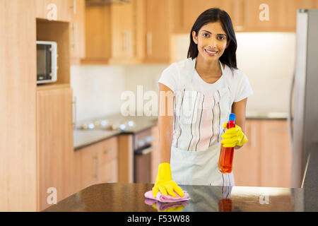 attraktive indische Hausfrau, die Reinigung der Küche Stockfoto