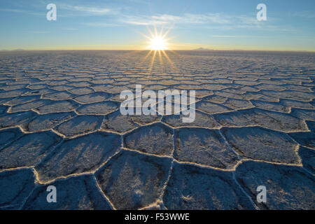 Wabe-Struktur mit Schatten auf einem Salzsee bei Sonnenaufgang, der weltweit größten Vorkommen an Lithium, Salar de Uyuni, Bolivien Stockfoto