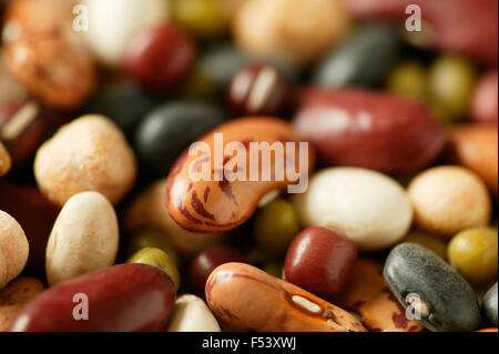 Nahaufnahme von roten Kidney-Bohnen, Kichererbsen, Pinto Bohnen, Mungbohnen, Black Turtle Bohnen, Aduki Bohnen, Gartenbohnen Bohnen. Stockfoto