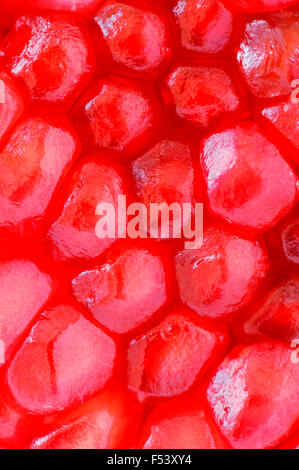 Nahaufnahme der Granatapfel-Frucht aufschneiden. Stockfoto