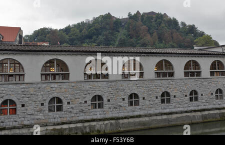Fluss Ljubljanica, Central Market und Schloss in Ljubljana, Slowenien Stockfoto