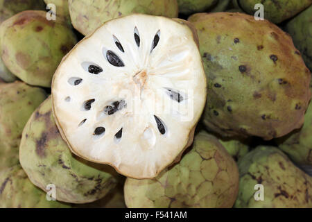 Chirimoya - Custard Apple Stockfoto