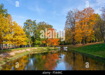 Herbst Reflexion auf dem See im Park Stockfoto