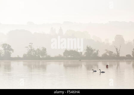 Nebligen Sonnenaufgang über dem Schloss Semple Loch in Renfrewshire, Schottland, Vereinigtes Königreich Stockfoto