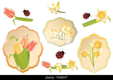 Vintage Etiketten mit Frühlingsblumen Narzissen, Tulpen, Krokus und Marienkäfer auf weiß isoliert Stock Vektor